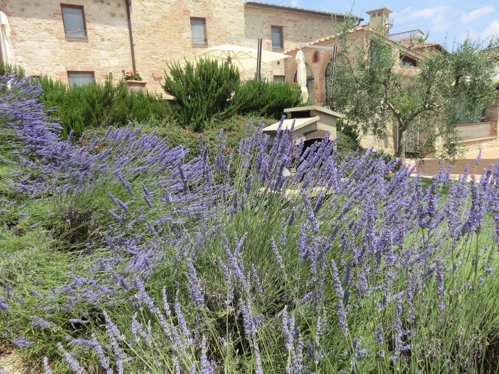 La Pieve Di San Martino Pensionat Colle Val D'Elsa Exteriör bild